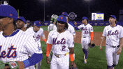 Celebrate Jeff Mcneil GIF by New York Mets