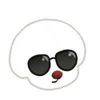 Bichon Frise Smile Sticker by pikaole
