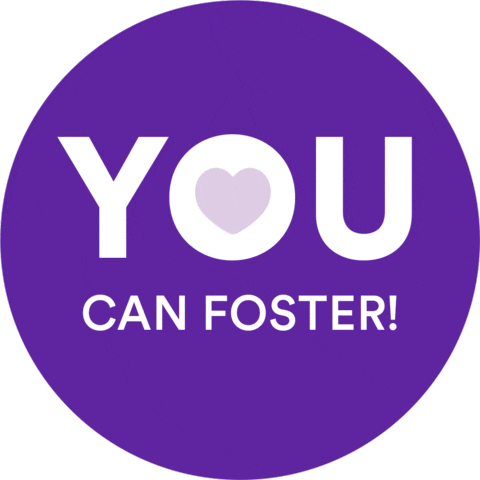 Foster Pet Sticker by Petco Love