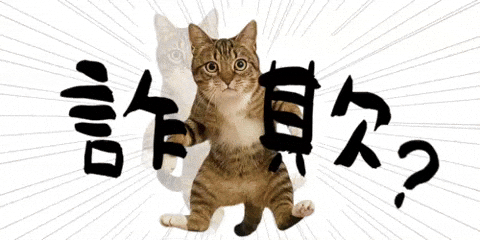 ねこ Warning GIF