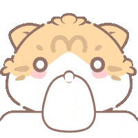 Surprised Cat Sticker