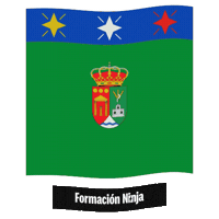 Castilla Y Leon Flag Sticker by Formación Ninja