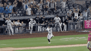 Happy New York Yankees GIF by Jomboy Media
