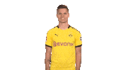 Happy Borussia Dortmund Sticker by Bundesliga