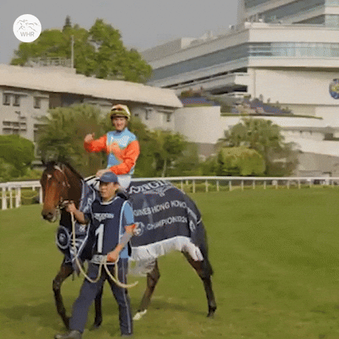 Zac Purton GIF by World Horse Racing
