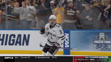 Western Michigan Wmu GIF by TheDreamTeam 