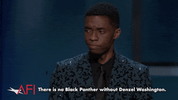 Black Panther Marvel GIF by American Film Institute