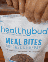 Dog Food GIF by healthybud