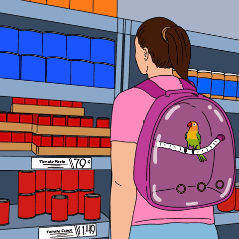 Bird in a backpack at the supermarket