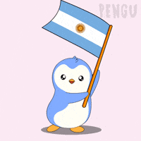 Waving Argentina Flag GIF by Pudgy Penguins