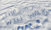 Will Let It Snow GIF by Alex Boya