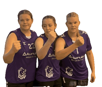 Lsv Sticker by Luener SV Handball