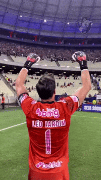 Vasco Goleiro GIF