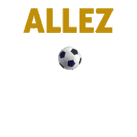 allez allez lets go Sticker by AAM