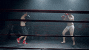 boxing match GIF by Circa Survive