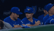 Happy Blue Jays GIF by Toronto Blue Jays