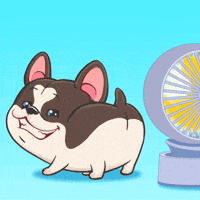 Cat Joking GIF by UpStudiosWorld