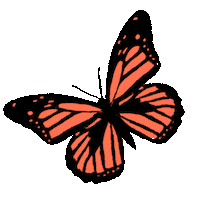 Orange Butterfly Sticker
