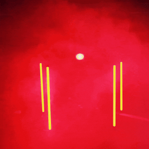 Chloe Riassetto GIF by Texas Tech Softball