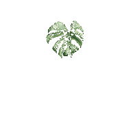 Mywip Sticker by Soul Society