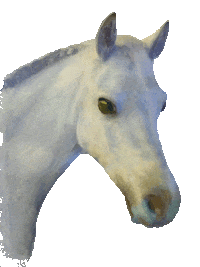 Horse Pony Sticker