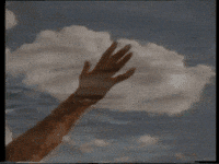 Handinthesky GIF by Wilderness Society