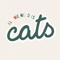 ziggy_family cat cats beatles cat lover GIF