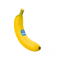 Phone Call Fun Sticker by Chiquita