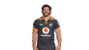 Rugby Sticker by Wasps