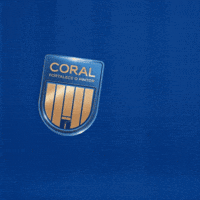 Tinta Pintora GIF by Tintas Coral