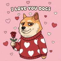 Valentines Day Love GIF by Doge Pound