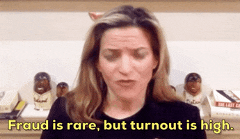 Secretary Of State Michigan GIF by GIPHY News