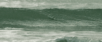 GIF by Disco Donnie Presents