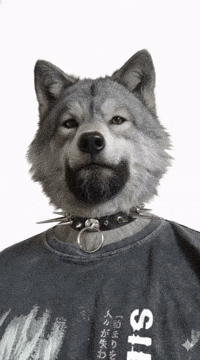 Gay Pride GIF by Database數據