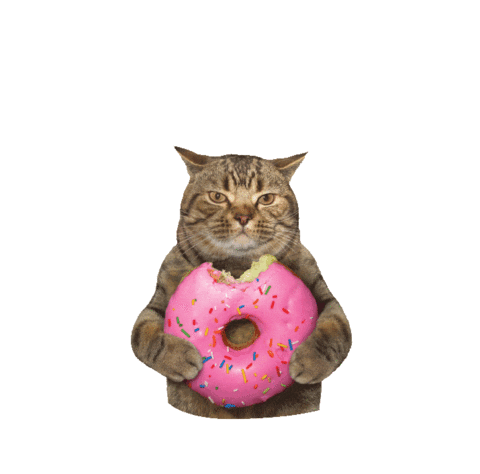 Donut Sticker by Idea