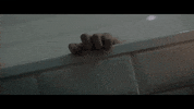 Drowning Horror Film GIF by Nocturnal Pictures