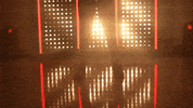 Oklahoma Sooners Softball GIF by NCAA Championships