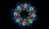 GIF by EMBL