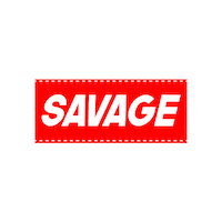 Text Chicago Sticker by Pixel Parade App