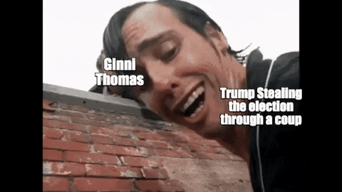 Meme gif. Man holds onto another man's arm, dangling over the edge of a brick wall and trying to save him from falling. Another man appears and starts poking at the falling man with a piece of wood, trying to get him to let go. The man at the top of the wall is labeled "Ginni Thomas," the falling man is labeled "Trump stealing the election through a coup," and the man with the wood is labeled "democracy prevailing."