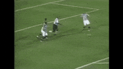 santos fc GIF by Santos Futebol Clube