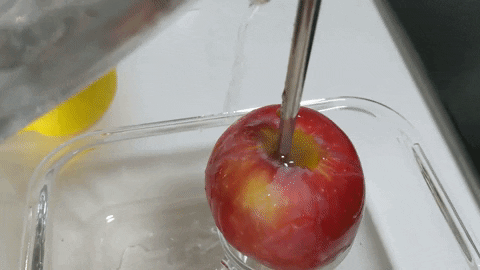 AsiaOne giphygifmaker GIF