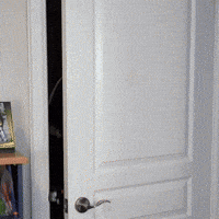 Vintage Ai GIF by Darwin