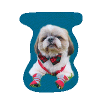 Angry Dog Sticker by Awesome Pawsome Treats