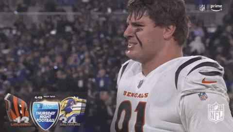 National Football League No GIF by NFL