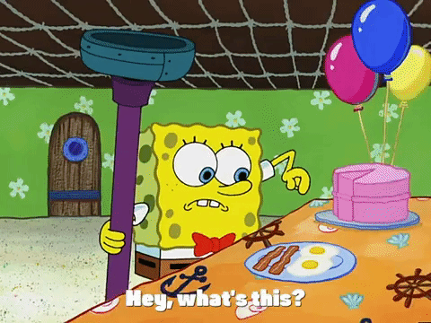 season 3 GIF by SpongeBob SquarePants