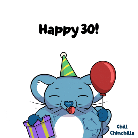 Happy Birthday Party GIF by VeeFriends