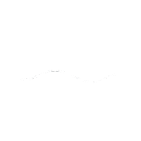 Fish Ask Sticker by Media Echoes