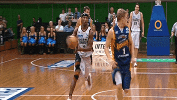 utah jazz nba GIF