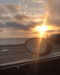 Summer Beach GIF by NOSAM